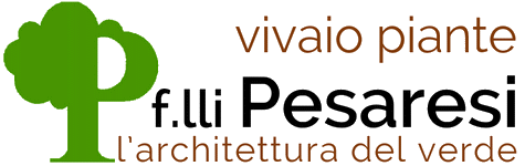 Vivaio F.lli Pesaresi