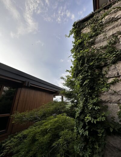 Progettazione e realizzazione giardino privato Rimini