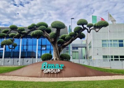 ulivo macro bonsai pon pon - Vivaio Pesaresi Rimini