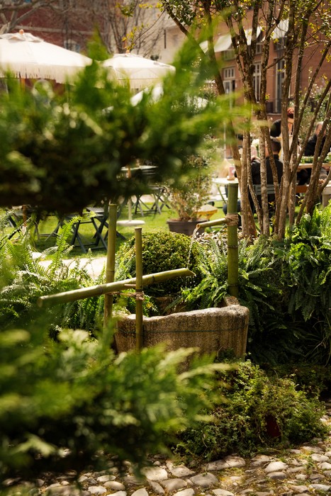 Giardini d'autore 20-21 settembre 2025 a Rimini - Stand Vivaio F.lli Pesaresi