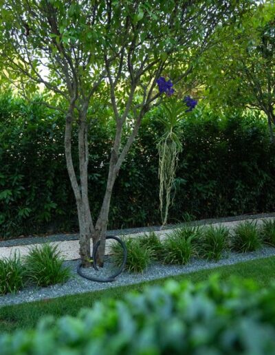 Progettazione e realizzazione giardino privato Milano Marittima