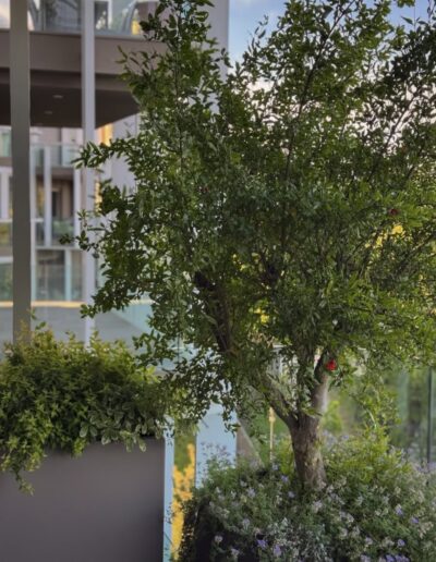 Fioriere, vasi e piante in composizione per realizzazione terrazzo a Rimini