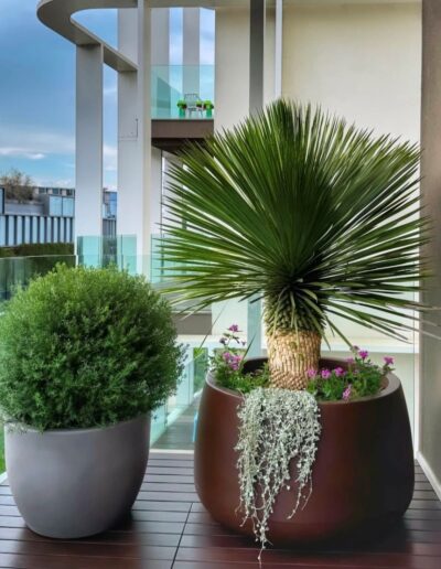 Fioriere, vasi e piante in composizione per realizzazione terrazzo a Rimini